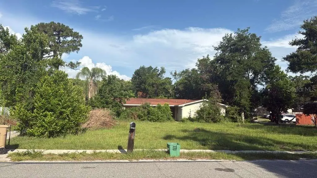 12706 N 53rd Street, Tampa, FL 33617 - #1