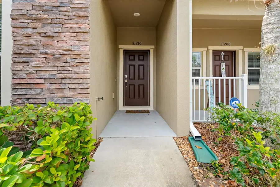 31210 Gossamer Way, Wesley Chapel, FL 33543 - #3