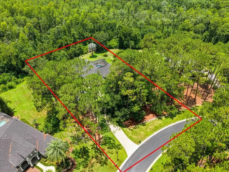 418 Pine Bluff Drive, Lutz, FL 33549 - #2