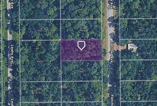 442 Fletcher Avenue, LAKE PLACID, FL 33852