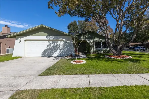 4711 Ridge Point Drive, TAMPA, FL 33624
