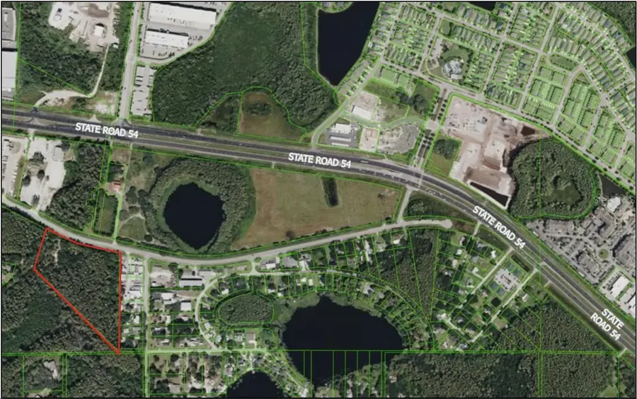 14356 Black Lake Road, Odessa, FL 33556 - #2