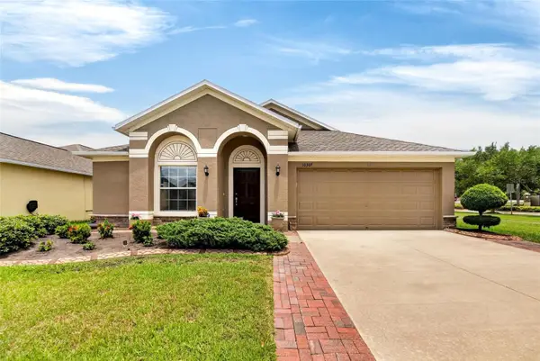 10307 Summer Azure Drive, RIVERVIEW, FL 33578