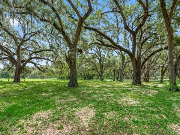 Lot 12 Cr 543, BUSHNELL, FL 33513