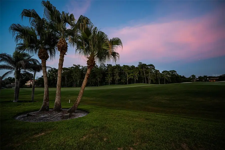 4995 Camberley Lane, Oldsmar, FL 34677 - #2