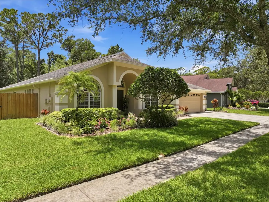 10522 Chambers Drive, Tampa, FL 33626 - #3