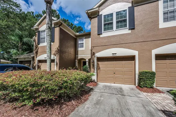 8414 Sandy Beach Street, TAMPA, FL 33634