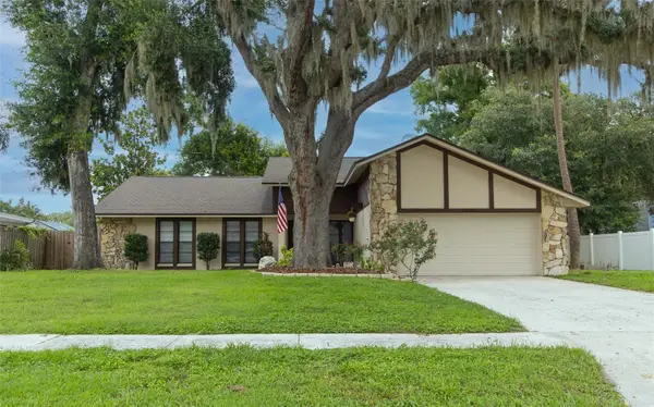 1005 Tranquiview Lane, VALRICO, FL 33594