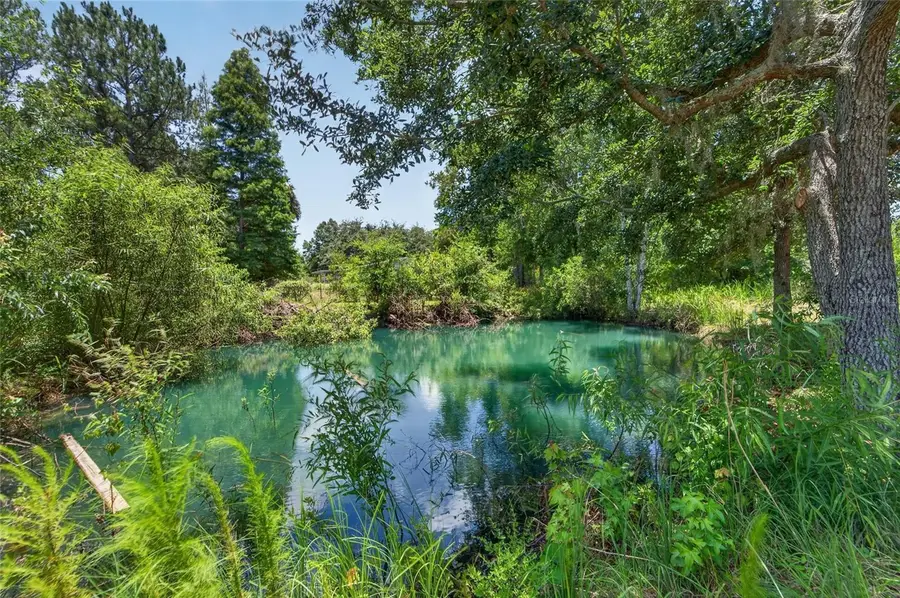 1205 Crystal Springs Road, Zephyrhills, FL 33540 - #2