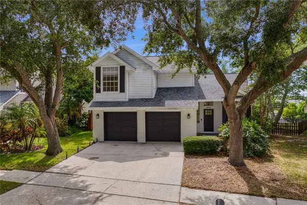 11844 Branch Mooring Drive, TAMPA, FL 33635