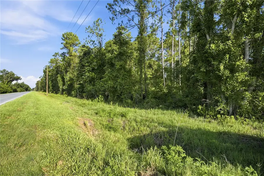 0 E Highway 318, Citra, FL 32113 - #3