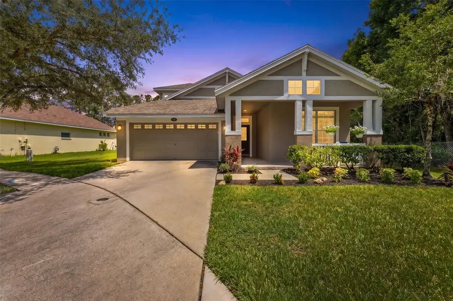 5154 Pheasant Woods Drive, Lutz, FL 33558 - #2