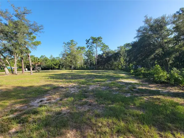 2075 S Colonial Avenue, HOMOSASSA, FL 34448