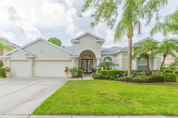 18111 Diamond Cove Court, TAMPA, FL 33647
