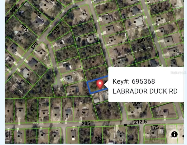 11335 Labrador Duck Road, WEEKI WACHEE, FL 34614