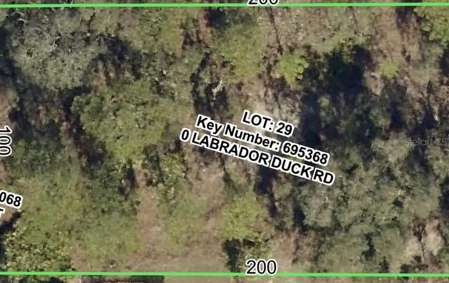 11335 Labrador Duck Road, Weeki Wachee, FL 34614 - #2