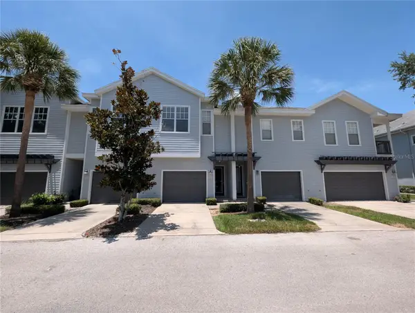 8319 King Blossom Court, TAMPA, FL 33615