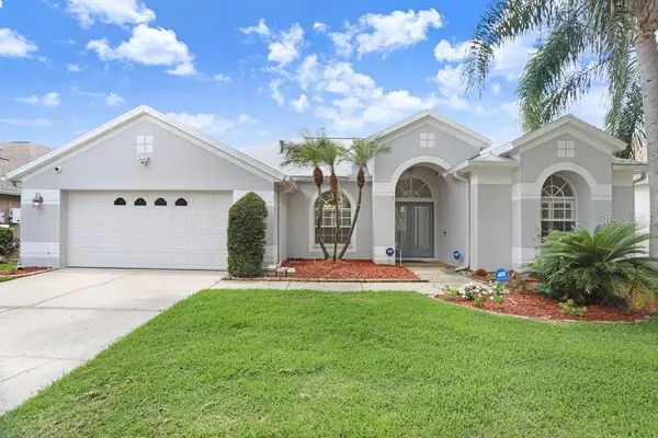 10227 Quails Landing Avenue, TAMPA, FL 33647
