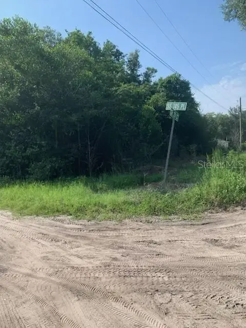 TBA SE 145th Place, Summerfield, FL 34491 - #1