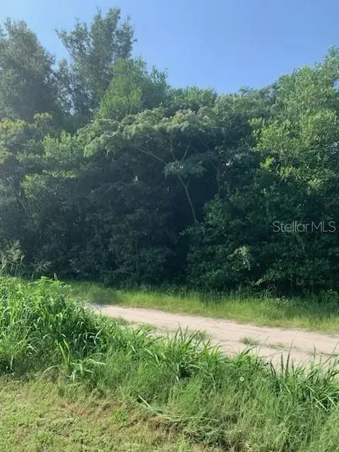 TBA SE 145th Place, Summerfield, FL 34491 - #2