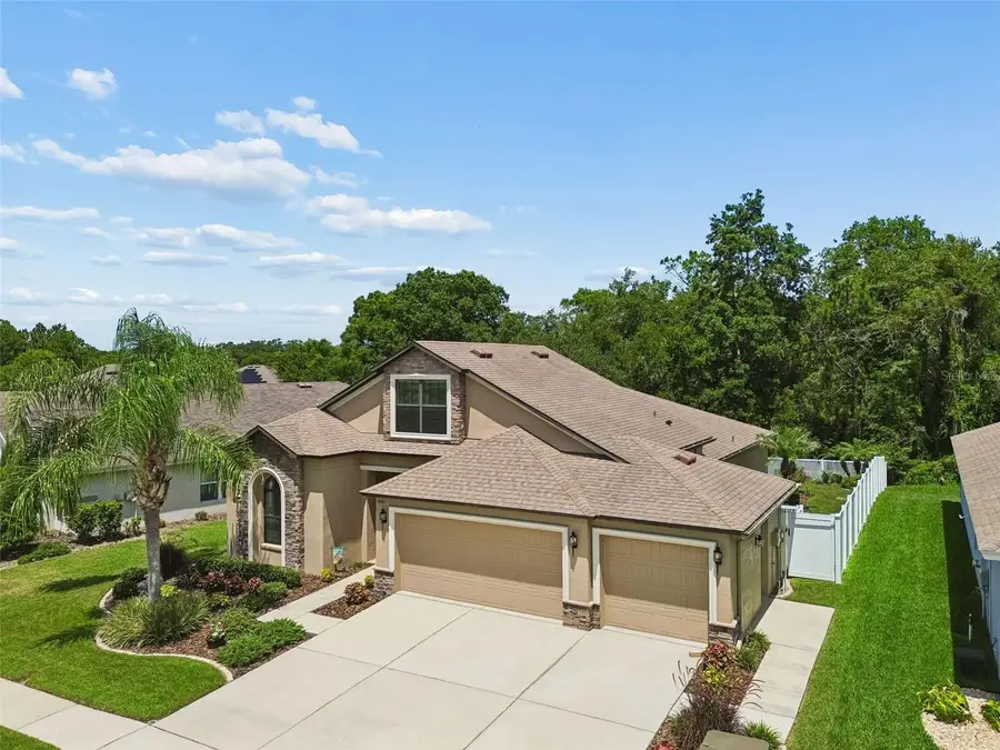 6601 Sparkling Way, Wesley Chapel, FL 33545 - #2