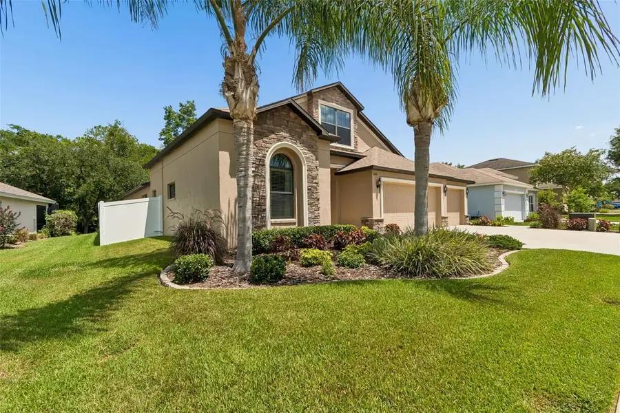 6601 Sparkling Way, Wesley Chapel, FL 33545 - #3