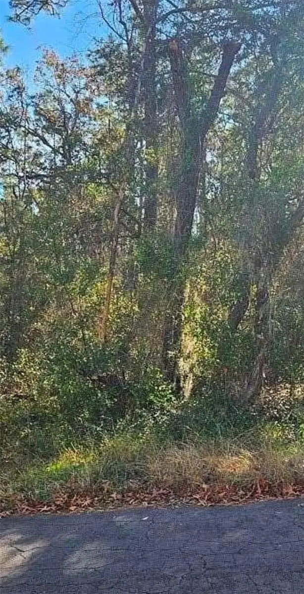 609 N Brighton Road, Lecanto, FL 34461 - #1