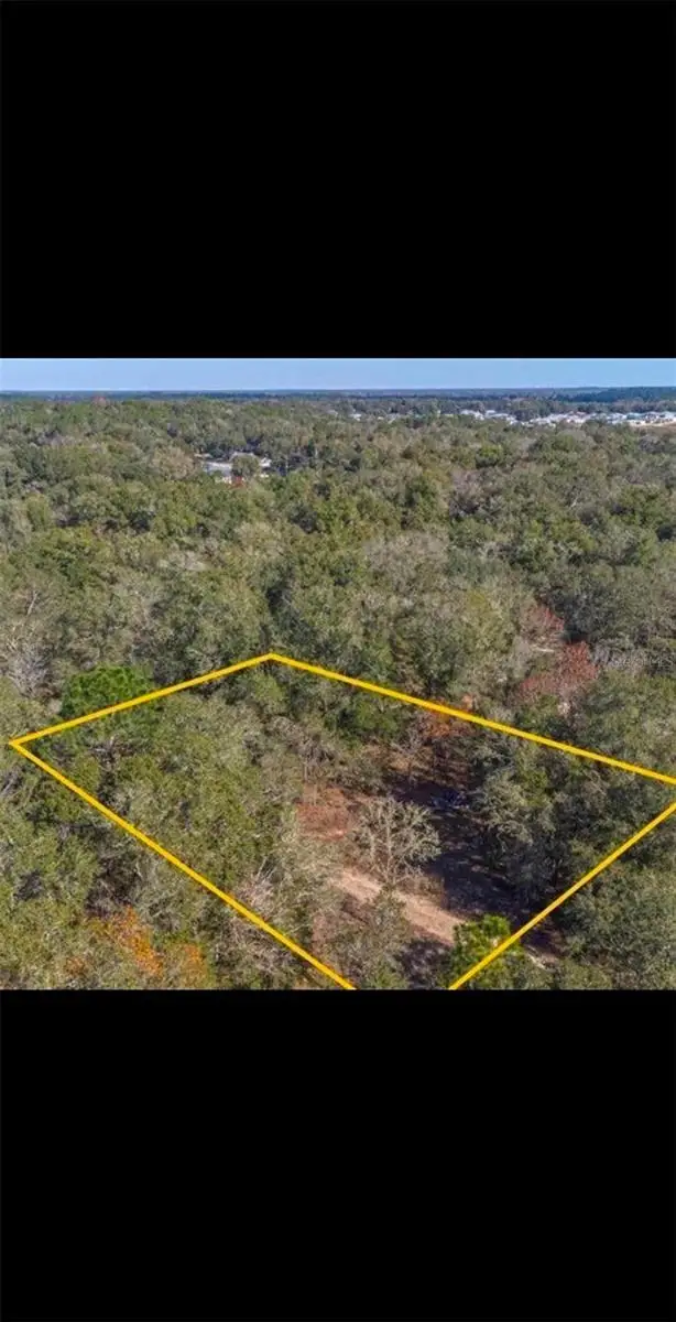 609 N Brighton Road, Lecanto, FL 34461 - #3