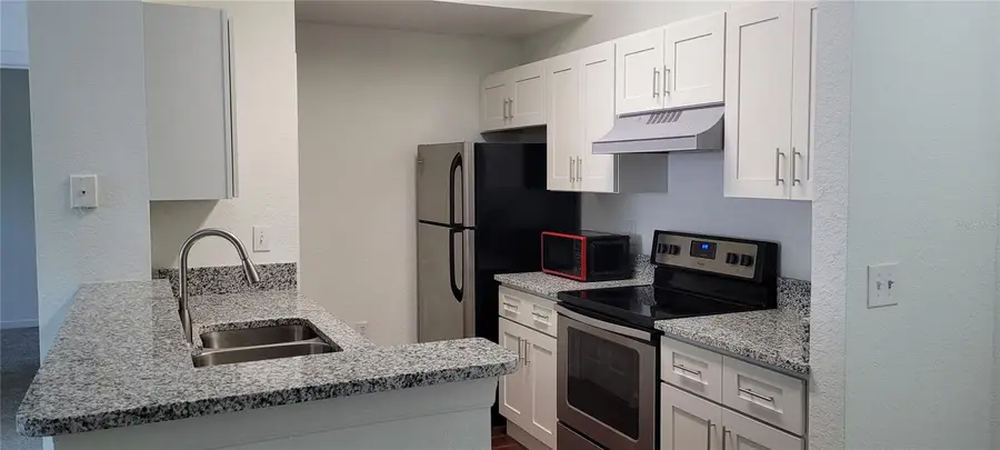 17104 Carrington Park Drive #513, Tampa, FL 33647 - #2