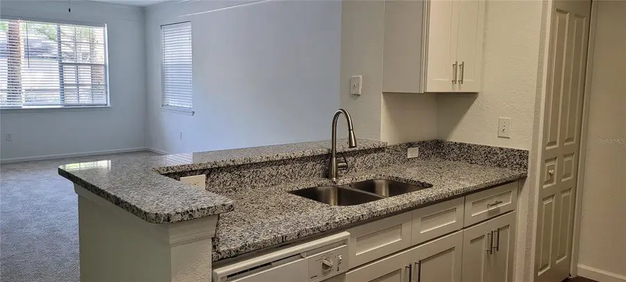 17104 Carrington Park Drive #513, Tampa, FL 33647 - #3