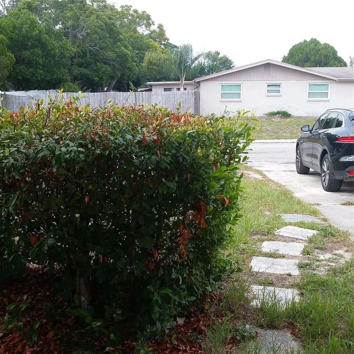 7725 Rottingham Road, Port Richey, FL 34668 - #1