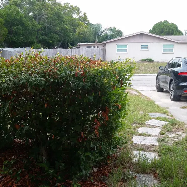 7725 Rottingham Road, PORT RICHEY, FL 34668