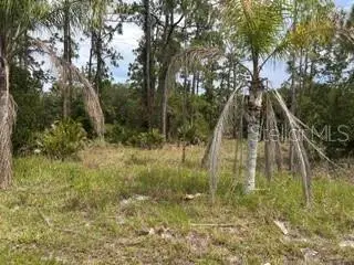 823 Pandora (blk 217 Lot 13) Drive, Indian Lake Estates, FL 33855 - #1