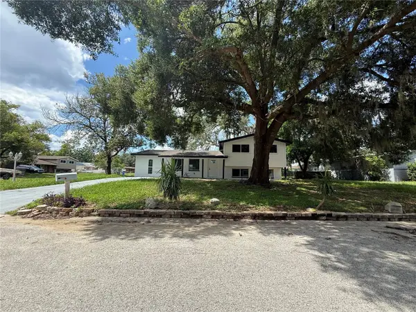 402 Blueberry Lane, BRANDON, FL 33510