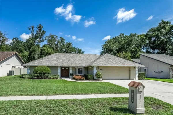 1030 Sylvia Lane, TAMPA, FL 33613