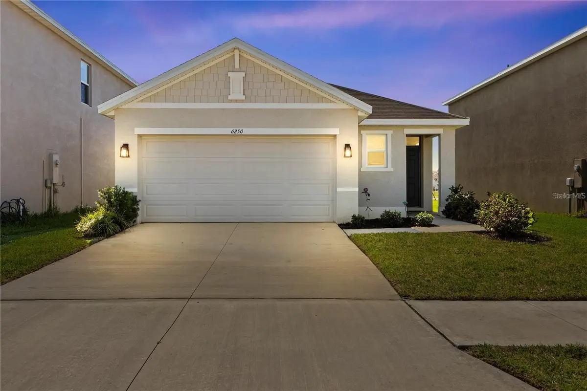 6250 Wandering Willow Drive, Wesley Chapel, FL 33545 - #1
