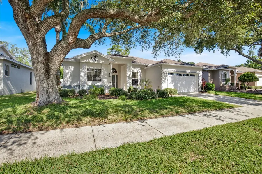2409 Dana Drive, Safety Harbor, FL 34695 - #2