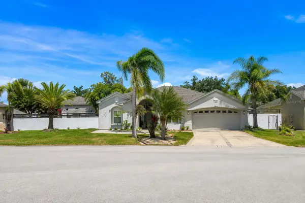 4106 Balington Drive, VALRICO, FL 33596