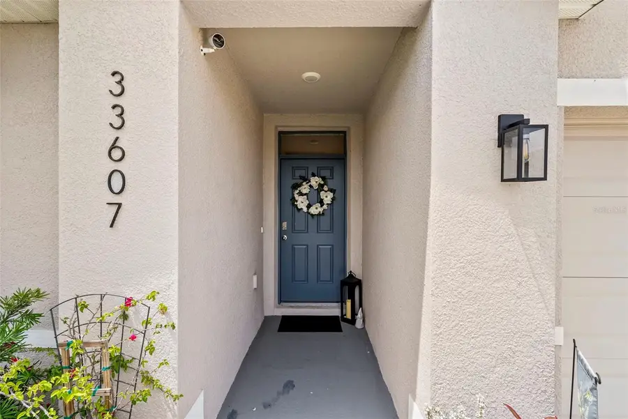 33607 Hamilton Hill Lane, Wesley Chapel, FL 33545 - #2