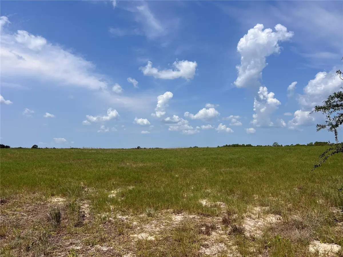 5990 W Oakhill Street, Dunnellon, FL 34433 - #1