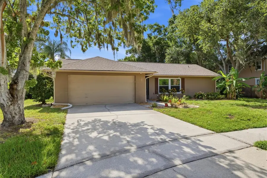 14801 Perriwinkle Place, Tampa, FL 33625 - #2