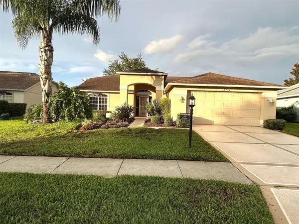 18702 Bellevista Court, HUDSON, FL 34667