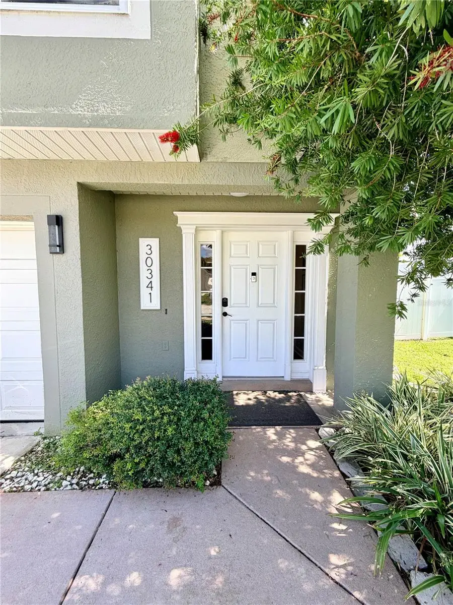 30341 Pongo Way, Wesley Chapel, FL 33545 - #3