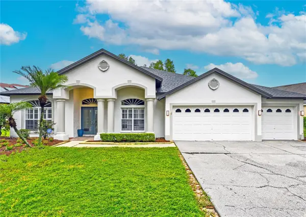 19307 Wind Dancer Street, LUTZ, FL 33558