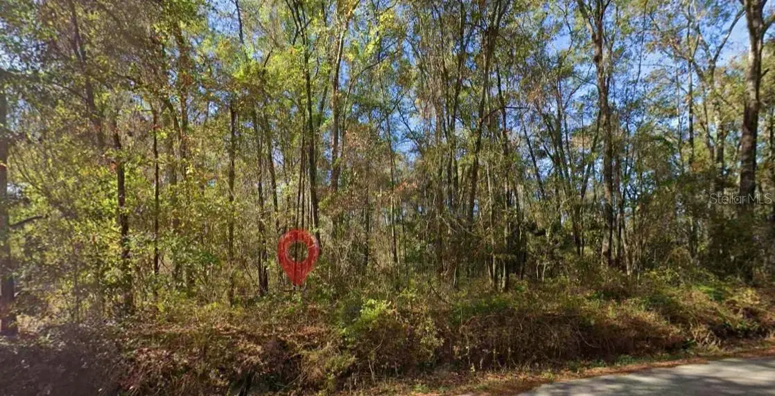 Iamonia Landing Road, Tallahassee, FL 32312 - #1