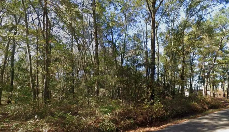 Iamonia Landing Road, Tallahassee, FL 32312 - #2
