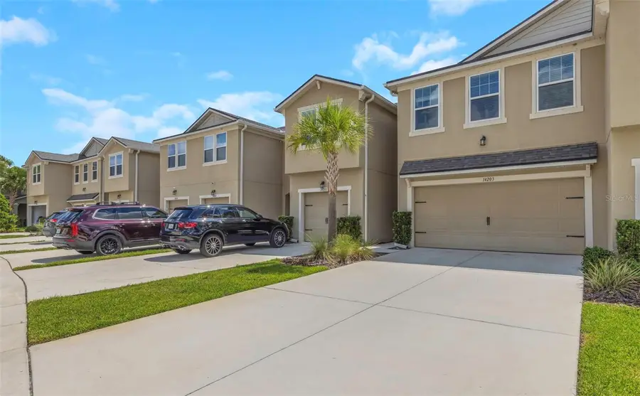 14203 Damselfly Drive, Tampa, FL 33625 - #2