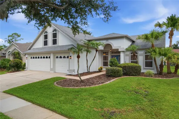 10226 Timberland Point Drive, TAMPA, FL 33647