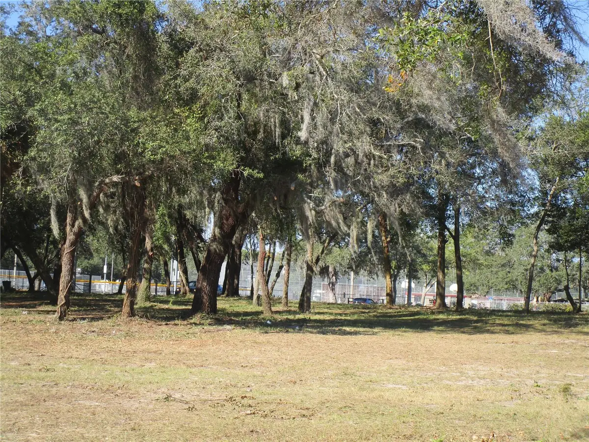 6718 N Rome Avenue, Tampa, FL 33604 - #1