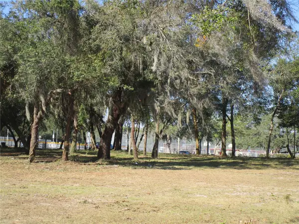 6718 N Rome Avenue, TAMPA, FL 33604